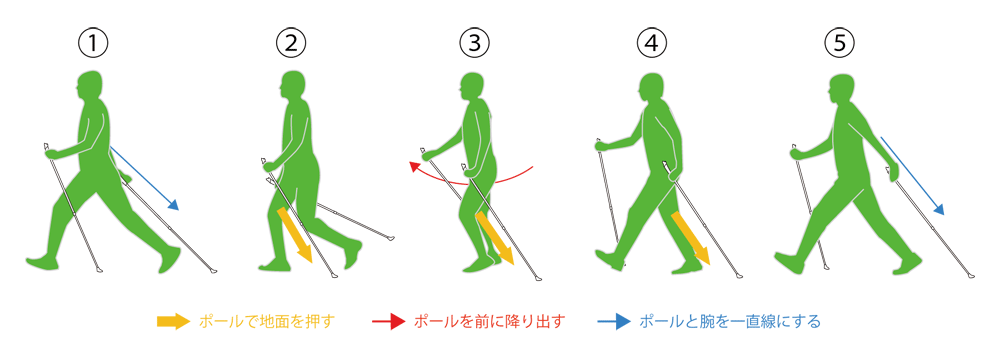 販売終了 2wayノルディックポール Dod ディーオーディー キャンプ用品ブランド