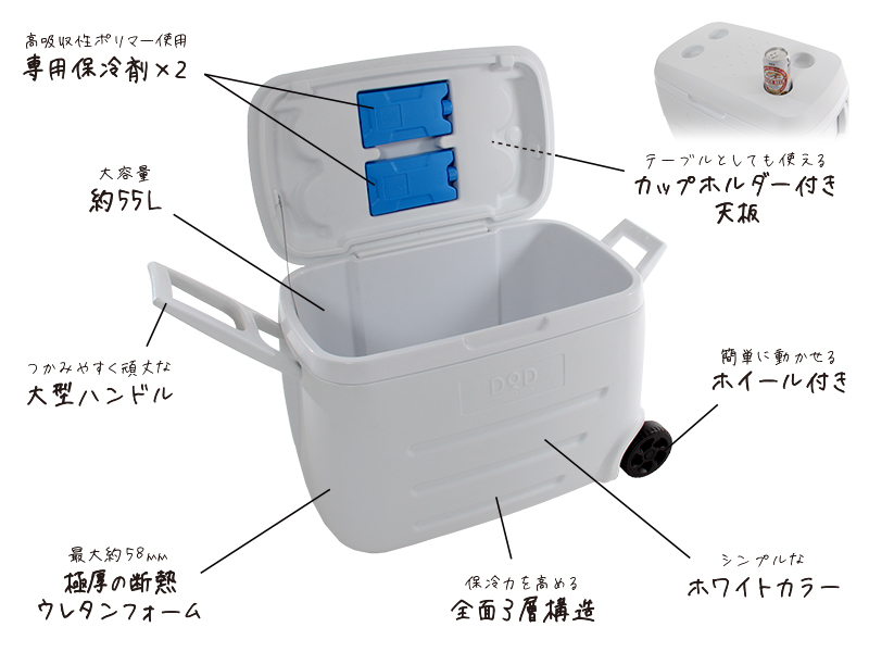  コールドサンダーの主な特徴