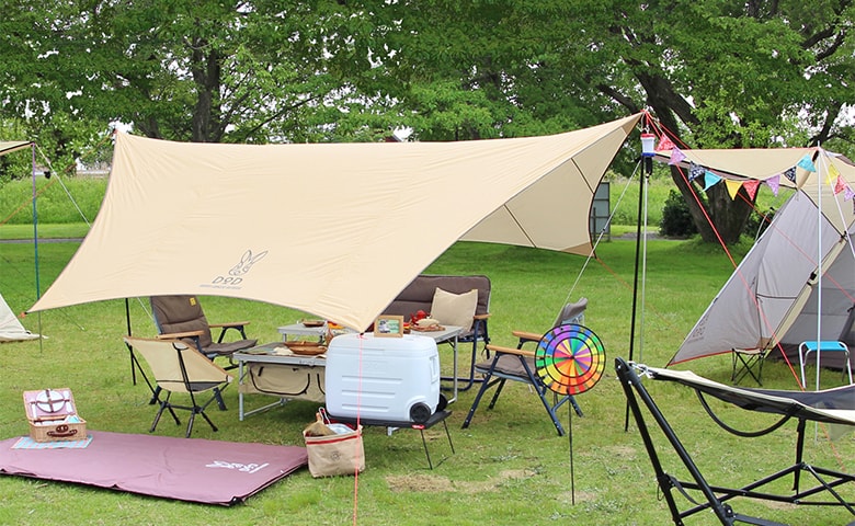 tarp