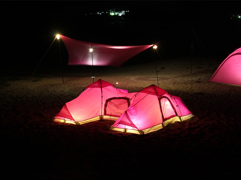 販売終了】ピンクタープ - DOD（ディーオーディー）：キャンプ用品ブランド