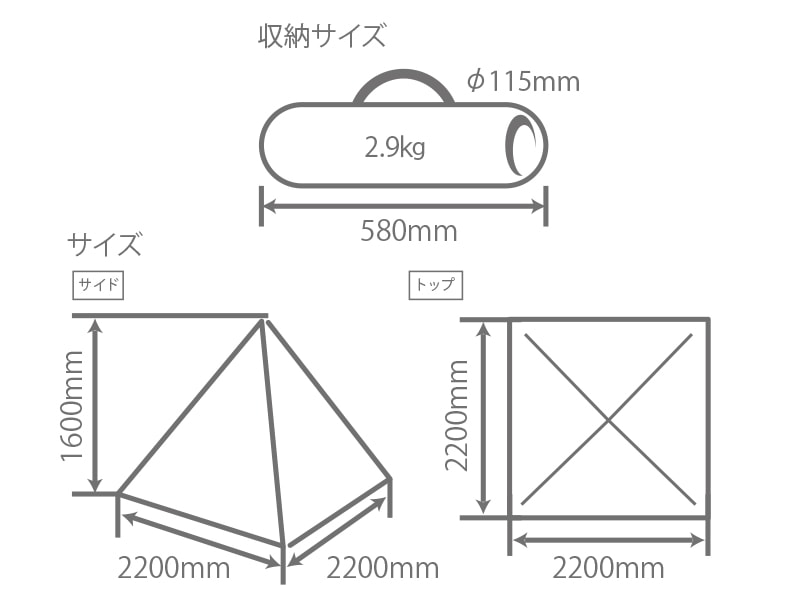  ビーティピのサイズ画像