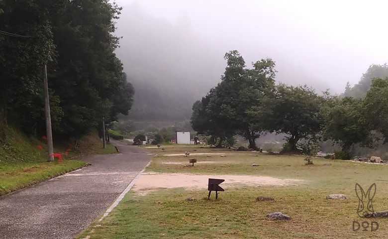 キャンプ 川 真珠 場 広場 貝