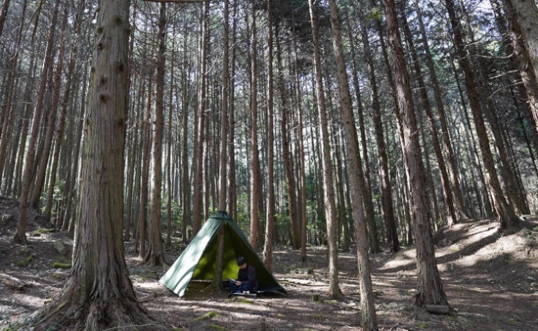 売れたら世界がおかしい！？スーパー非日常を感じられるテント「トゥリーラブ」