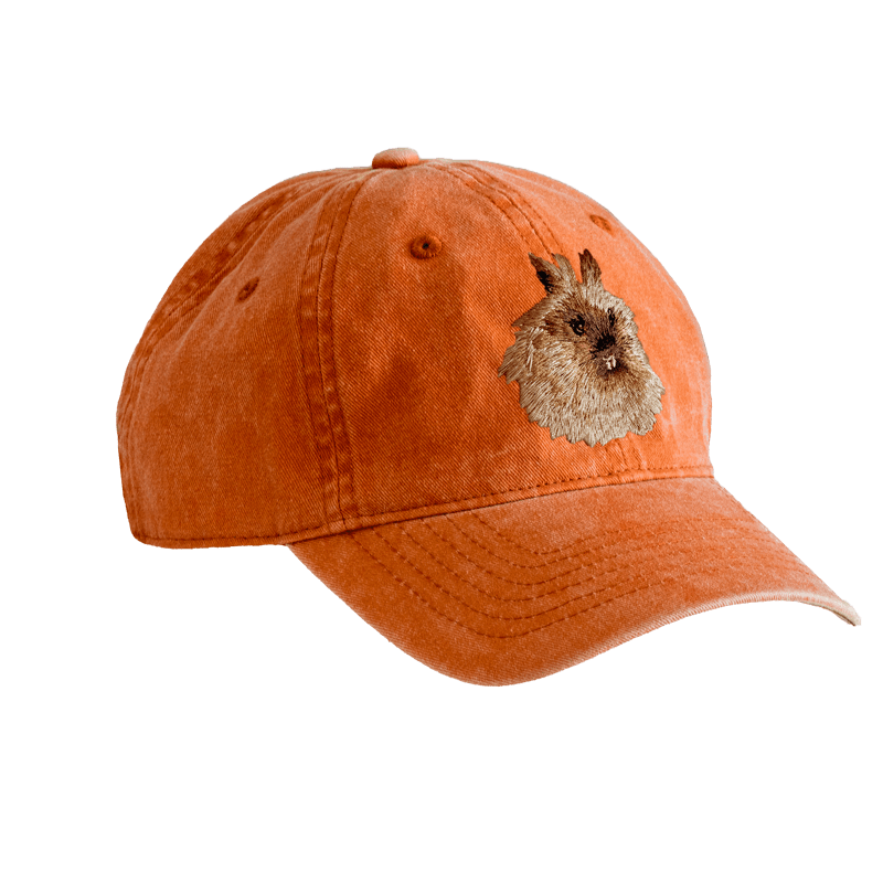 うさぎのぼうしHT034-OR（オレンジ）の製品画像