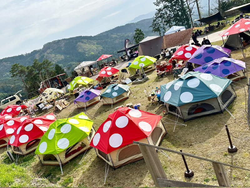 画像:キノコ会