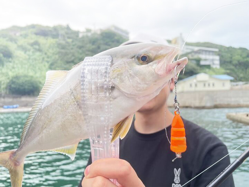  にんじんブルブルのメインの特徴（）