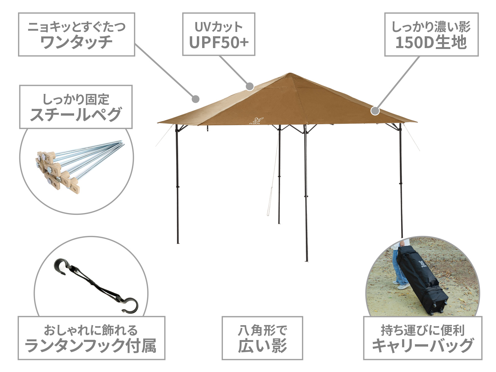  でかキノコタープの主な特徴