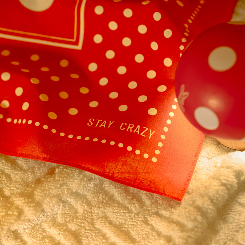  オーバンダナ(フリーサイズ)のメインの特徴（）