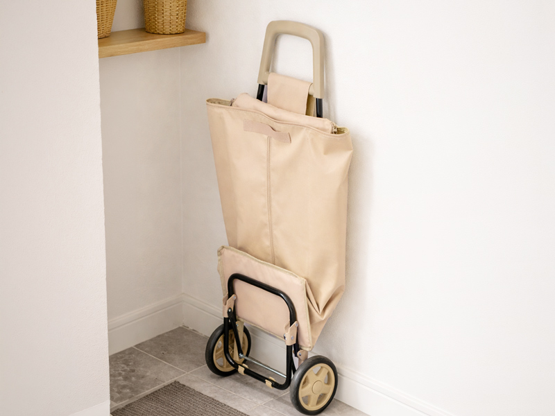  エンソクキャリーのメインの特徴（玄関にスッと収まる省スペース収納）