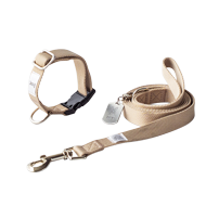 fave pet lead & collar