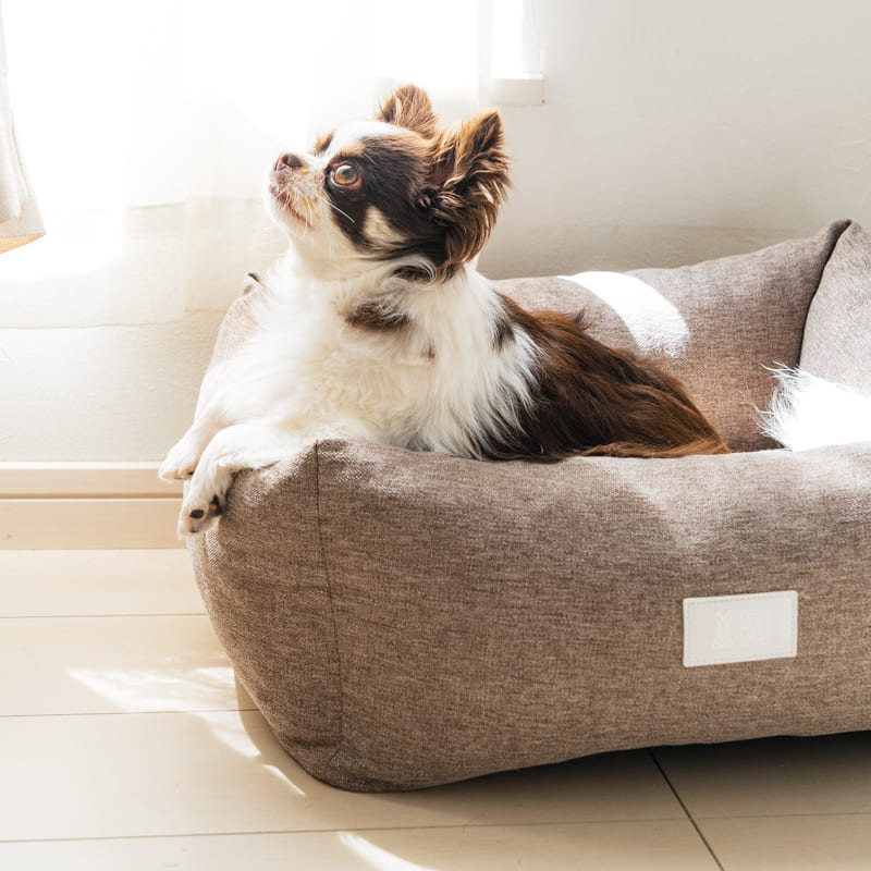 fave pet bed 製品画像9