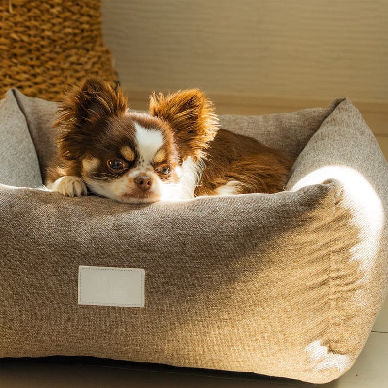 fave pet bed 製品画像10