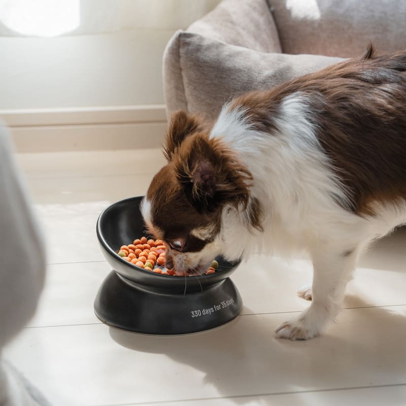 fave pet bowl 製品画像1