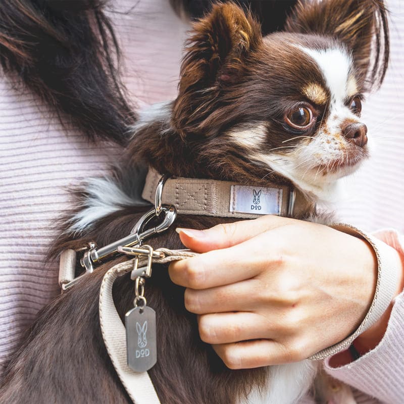 fave pet lead & collar 製品画像6