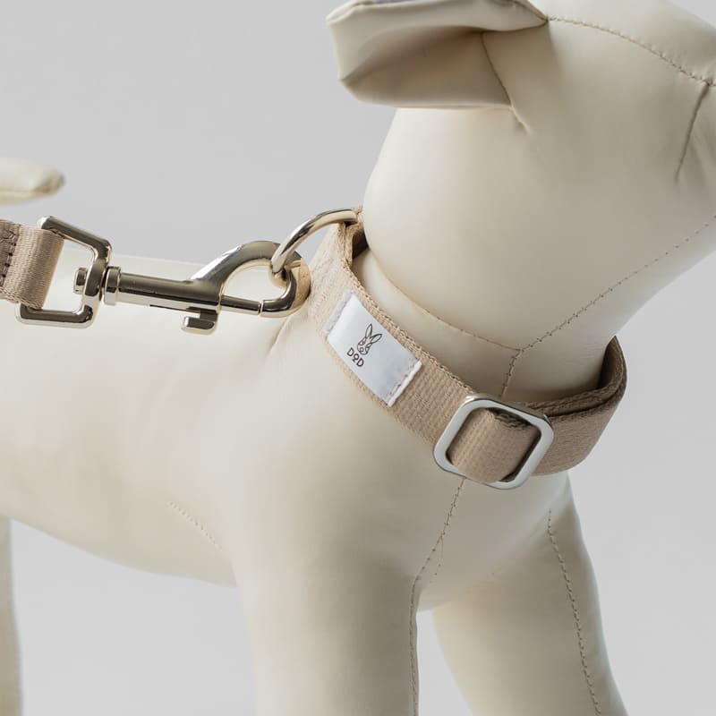 fave pet lead & collar 製品画像4