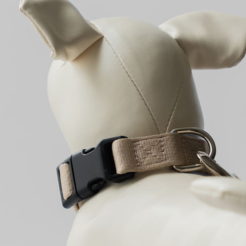 fave pet lead & collar 製品画像5