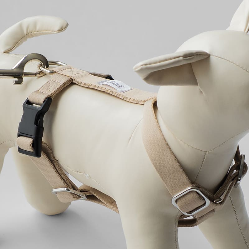 fave pet lead & harness 製品画像3