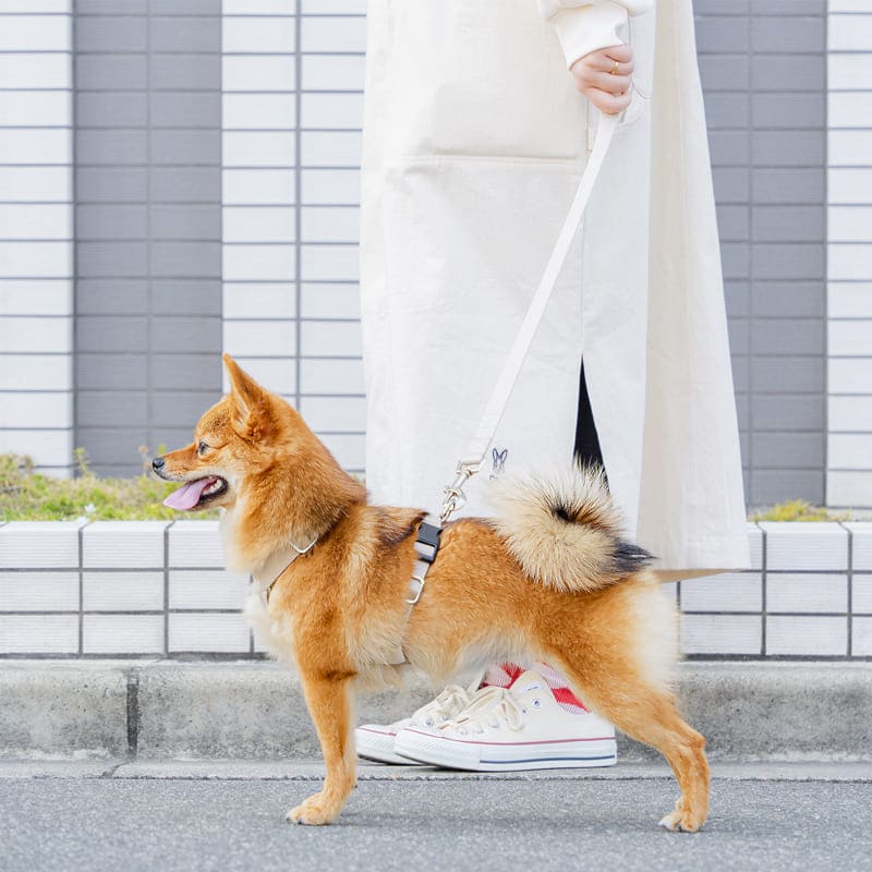 fave pet lead & harness 製品画像1