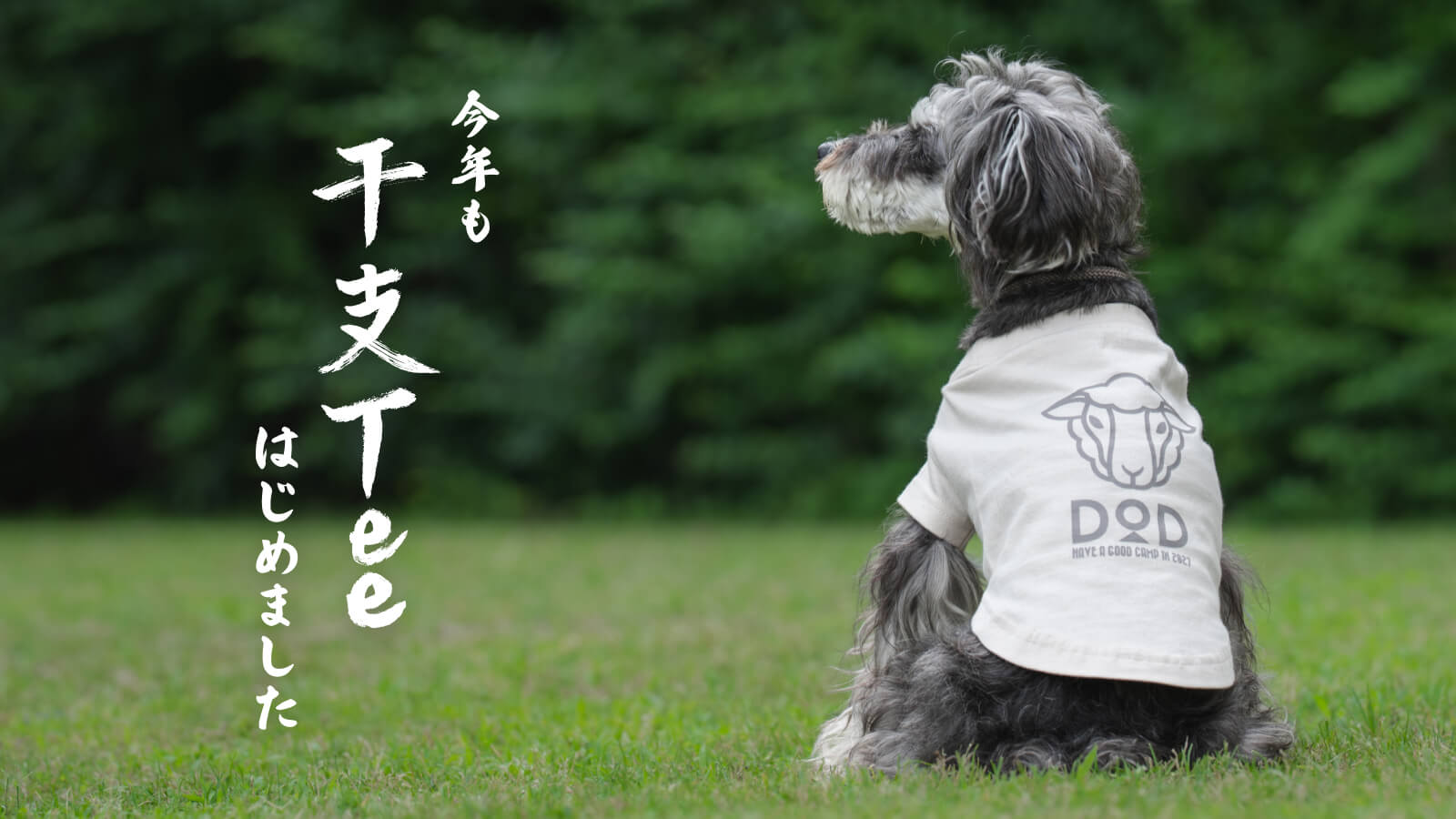 家族も愛犬もお揃いに！ひつじ年デザインの「2027年限定Tシャツ」ができました。