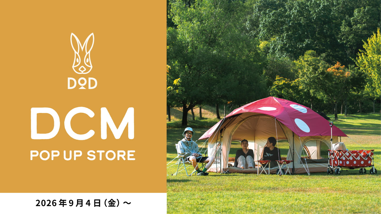 あの人気ギアが続々キノコ化！DCM23店舗でDOD「キノコ祭り」ポップアップが9/4から先行スタート