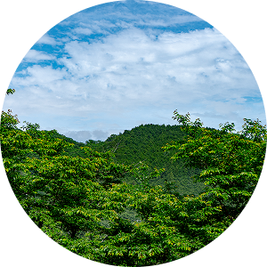避暑地にある山間部のキャンプ場の写真