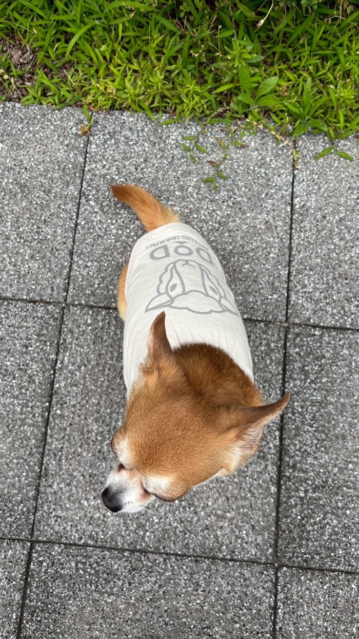 ウラ