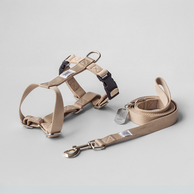 fave pet lead & harnessの画像